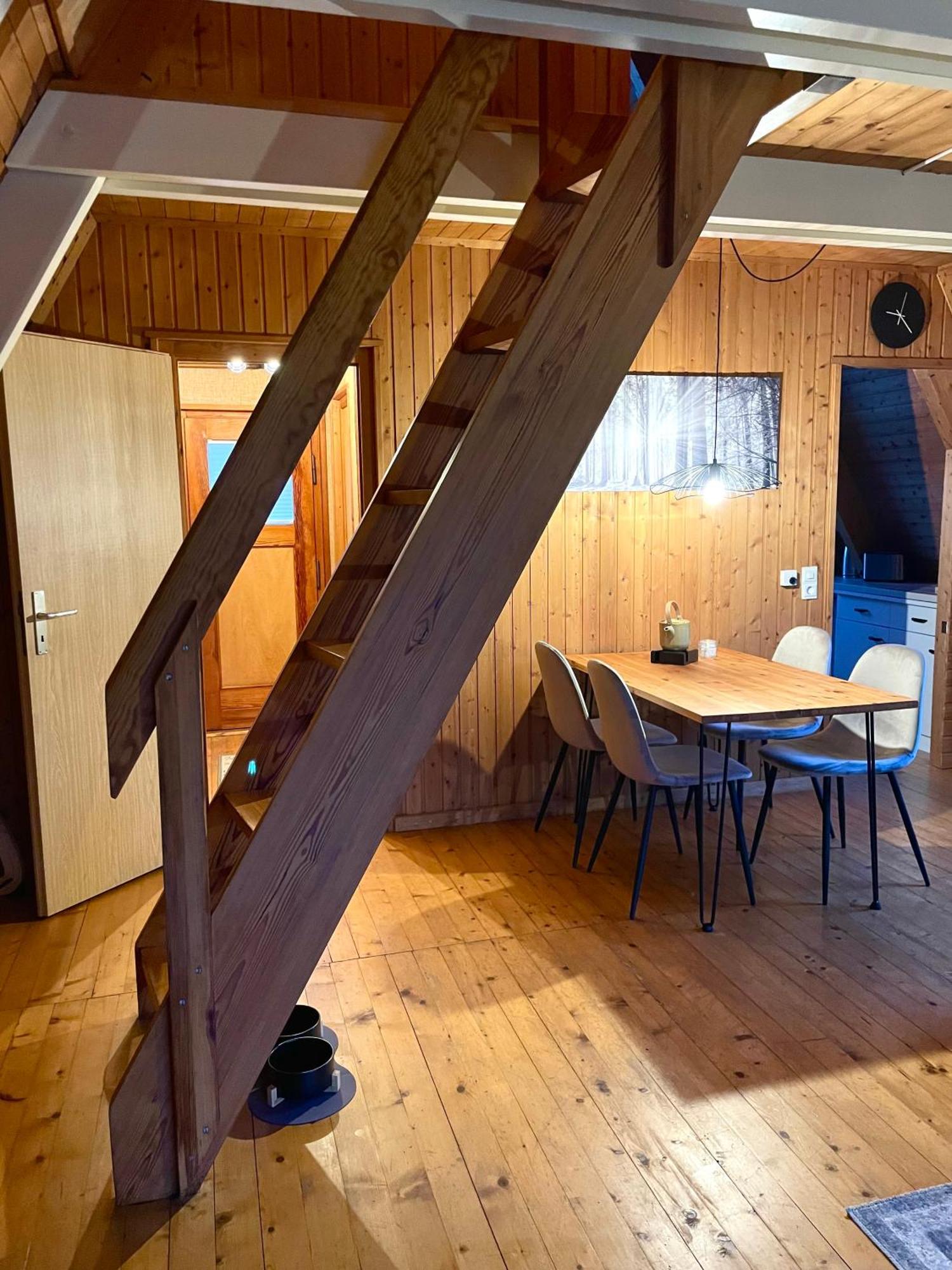 Nur-Dach-Haus Am Alfsee Rieste Екстер'єр фото